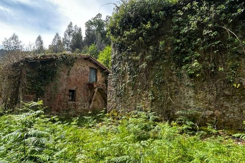 Landejendom i Bermeo, Vizcaya, Bermeo - € 209.000 | Ref: 14247-BRZ/2912 - foto 12