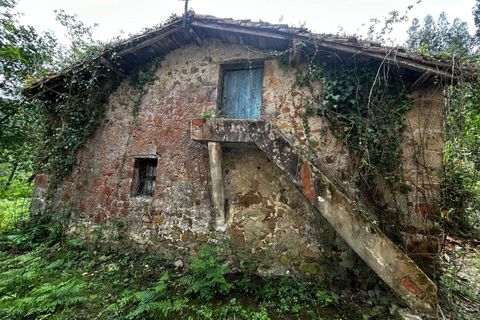 Landejendom i Bermeo, Vizcaya, Bermeo - € 209.000 | Ref: 14247-BRZ/2912 - foto 14