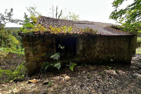 Landejendom i Bermeo, Vizcaya, Bermeo - € 209.000 | Ref: 14247-BRZ/2912 - foto 18