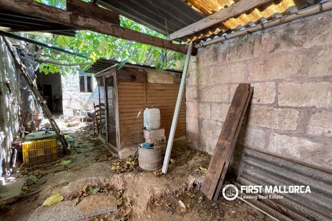 Byhus i Sa Pobla, Mallorca, Sa Pobla - € 213.000 | Ref: 83956 - foto 3