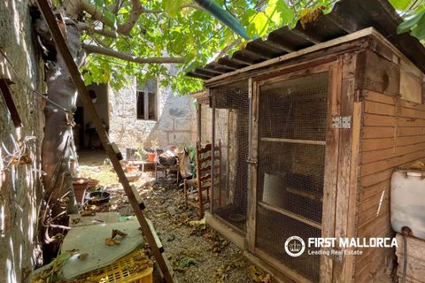 Byhus i Sa Pobla, Mallorca, Sa Pobla - € 213.000 | Ref: 83956 - foto 5