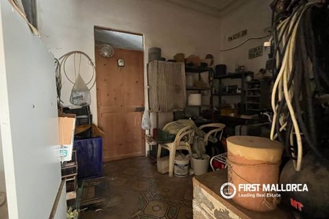 Byhus i Sa Pobla, Mallorca, Sa Pobla - € 213.000 | Ref: 83956 - foto 8