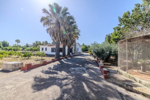 Finca i Denia, Alicante, Denia - € 1.200.000 | Ref: N1346 - foto 34