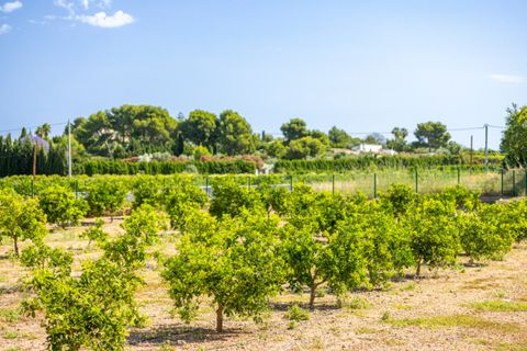 Finca i Denia, Alicante, Denia - € 1.200.000 | Ref: N1346 - foto 44