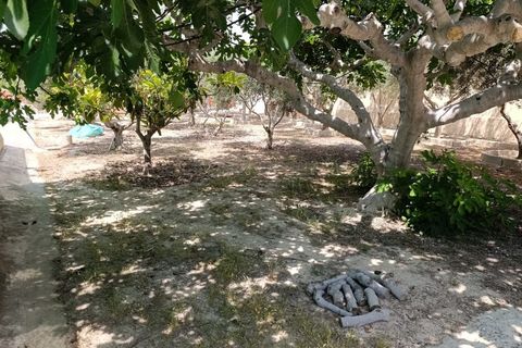 Finca i Aspe, Alicante, Aspe - € 350 000 | Ref: CLDJ-97834 - foto 24