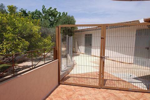 Finca i Aspe, Alicante, Aspe - € 350 000 | Ref: CLDJ-97834 - foto 28