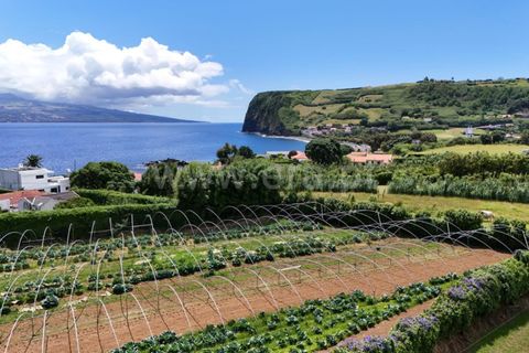 Helårsgrund i Horta, Faial, Horta - € 130.000 | Ref: 374260133 - foto 3