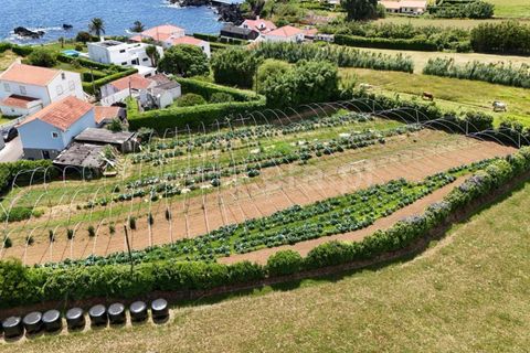 Helårsgrund i Horta, Faial, Horta - € 130.000 | Ref: 374260133 - foto 4
