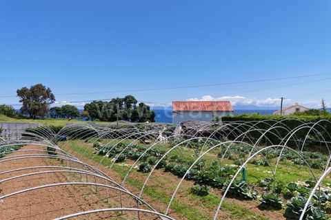 Helårsgrund i Horta, Faial, Horta - € 130.000 | Ref: 374260133 - foto 6