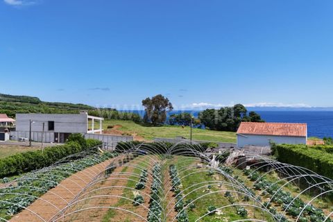 Helårsgrund i Horta, Faial, Horta - € 130.000 | Ref: 374260133 - foto 8