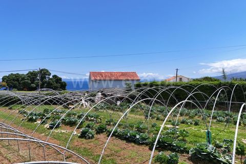 Helårsgrund i Horta, Faial, Horta - € 130.000 | Ref: 374260133 - foto 9