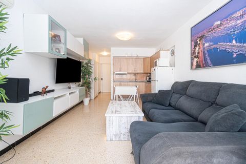 Studio i Calvia, Mallorca, Calvia - € 215 000 | Ref: 14CF268/3010 - foto 3