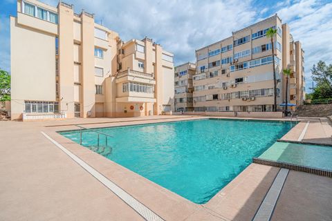 Studio i Calvia, Mallorca, Calvia - € 215 000 | Ref: 14CF268/3010 - foto 4