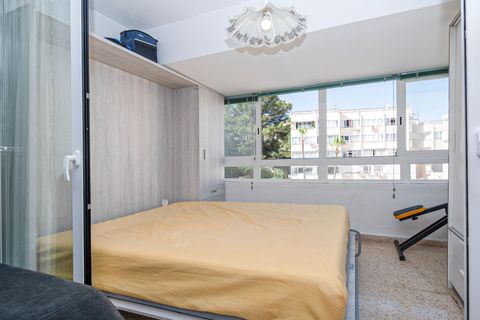 Studio i Calvia, Mallorca, Calvia - € 215 000 | Ref: 14CF268/3010 - foto 13