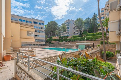 Studio i Calvia, Mallorca, Calvia - € 215 000 | Ref: 14CF268/3010 - foto 18