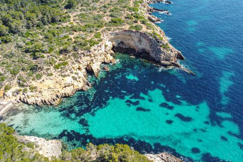 Studio i Calvia, Mallorca, Calvia - € 215 000 | Ref: 14CF268/3010 - foto 21