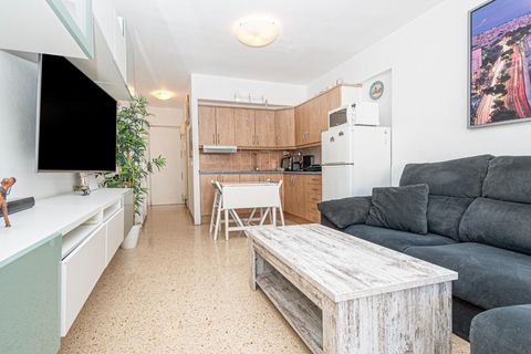 Studio i Calvia, Mallorca, Calvia - € 215 000 | Ref: 14CF268/3010 - foto 22