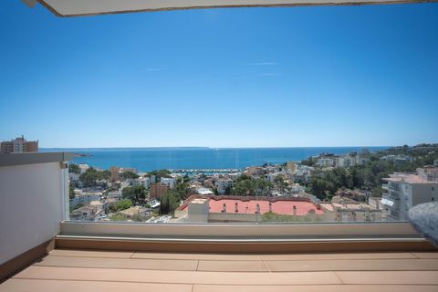 Rækkehus i Palma De Mallorca, Mallorca, Palma De Mallorca - € 3.700.000 | Ref: 17KV035/3010 - foto 40