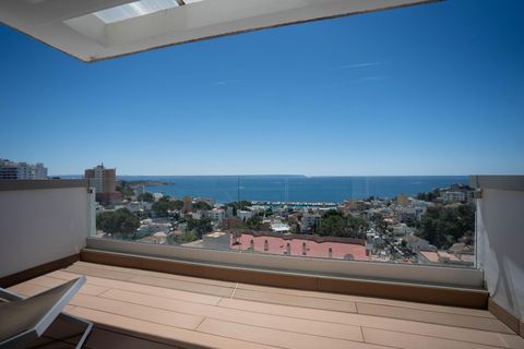 Rækkehus i Palma De Mallorca, Mallorca, Palma De Mallorca - € 3.700.000 | Ref: 17KV035/3010 - foto 41