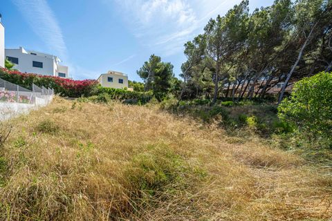 Tomt i Capdepera, Mallorca, Capdepera - € 549 000 | Ref: 15LFTM041/3010 - foto 17