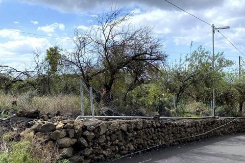 Helårsgrund i El Paso, La Palma, El Paso - € 228.000 | Ref: LDA-02 - foto 2
