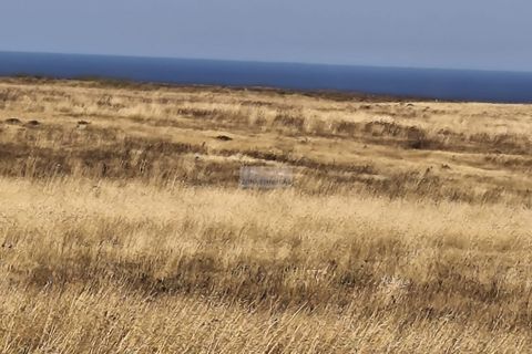 Helårsgrund i Sagres, Faro, Sagres - € 59.000 | Ref: T0561 - foto 3