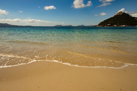 Villa en Pollenca, Mallorca, Pollenca - € 690.000 | Ref: 7805 - photo 2