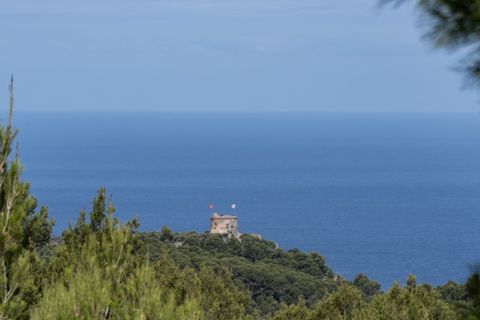 Herregård i Soller, Mallorca, Soller - € 870 000 | Ref: 6879 - foto 3
