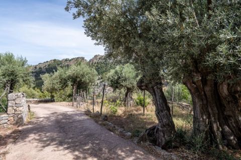 Herregård i Soller, Mallorca, Soller - € 870 000 | Ref: 6879 - foto 16