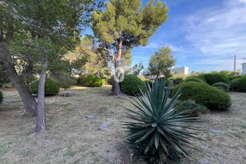 1-Zimmerwohnung in Pollenca, Mallorca, Pollenca - € 900/Monat | Ref: P002870/10684 - Foto 19