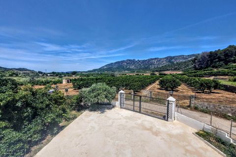 Villa a Alzira, Valencia, Alzira - € 285.000 | Ref: VLC9391 - foto 22