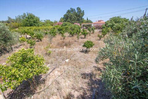 Landejendom i Albatera, Alicante, Albatera - € 349.000 | Ref: ALBA MSA-D - foto 25