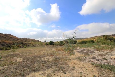 Landejendom i Bigastro, Alicante, Bigastro - € 249.000 | Ref: BIG TB-D - foto 19