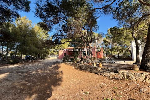 Landejendom i La Romana, Alicante, La Romana - € 280.000 | Ref: LA ROM JR1 - foto 24