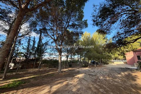 Landejendom i La Romana, Alicante, La Romana - € 280.000 | Ref: LA ROM JR1 - foto 25