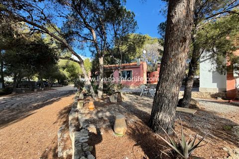 Landejendom i La Romana, Alicante, La Romana - € 280.000 | Ref: LA ROM JR1 - foto 26