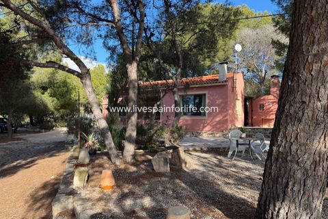 Landejendom i La Romana, Alicante, La Romana - € 280.000 | Ref: LA ROM JR1 - foto 27