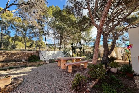 Landejendom i La Romana, Alicante, La Romana - € 280.000 | Ref: LA ROM JR1 - foto 29