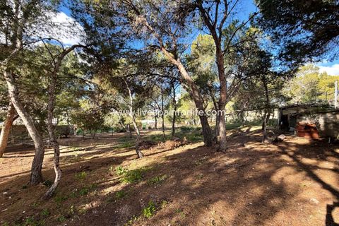 Landejendom i La Romana, Alicante, La Romana - € 280.000 | Ref: LA ROM JR1 - foto 35