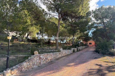 Landejendom i La Romana, Alicante, La Romana - € 280.000 | Ref: LA ROM JR1 - foto 37
