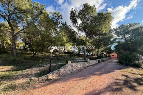 Landejendom i La Romana, Alicante, La Romana - € 280.000 | Ref: LA ROM JR1 - foto 38