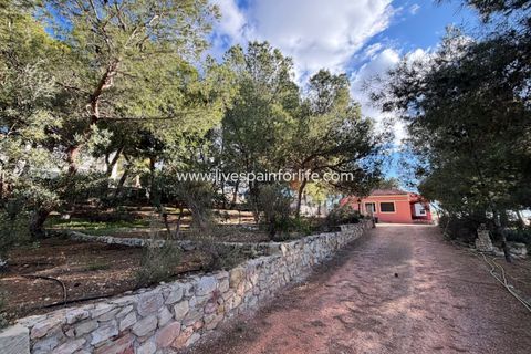 Landejendom i La Romana, Alicante, La Romana - € 280.000 | Ref: LA ROM JR1 - foto 39