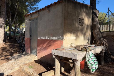 Landejendom i La Romana, Alicante, La Romana - € 280.000 | Ref: LA ROM JR1 - foto 42