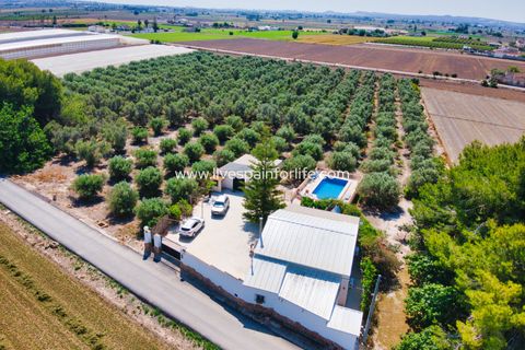 Landejendom i Dolores, Alicante, Dolores - € 495.000 | Ref: DOL BH1 - foto 2