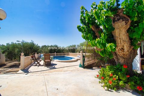 Landejendom i Dolores, Alicante, Dolores - € 495.000 | Ref: DOL BH1 - foto 23