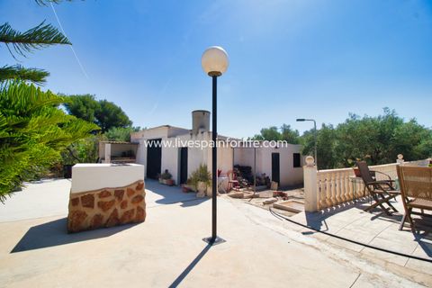 Landejendom i Dolores, Alicante, Dolores - € 495.000 | Ref: DOL BH1 - foto 25