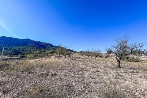 Finca en Elda, Alicante, Elda - € 150.000 | Ref: MA013 - photo 27