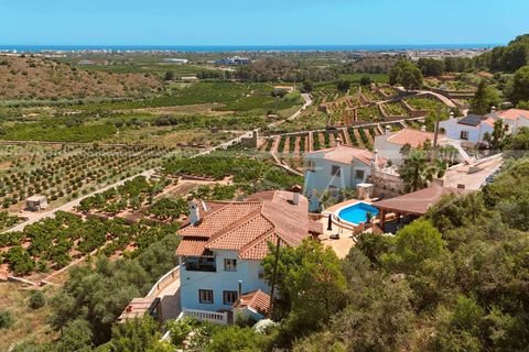 Villa i Oliva, Valencia, Oliva - € 465.000 | Ref: N-3226 - foto 3