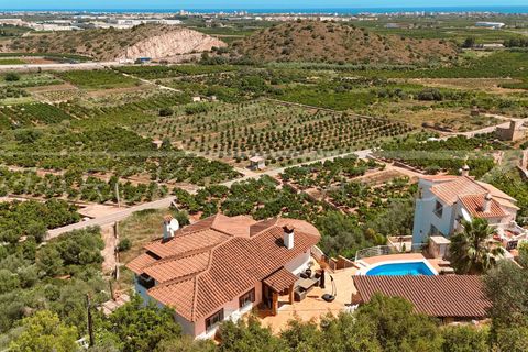 Villa i Oliva, Valencia, Oliva - € 465.000 | Ref: N-3226 - foto 5