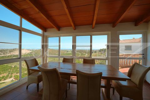 Villa i Oliva, Valencia, Oliva - € 465.000 | Ref: N-3226 - foto 19